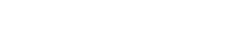 Gaudenzi Store